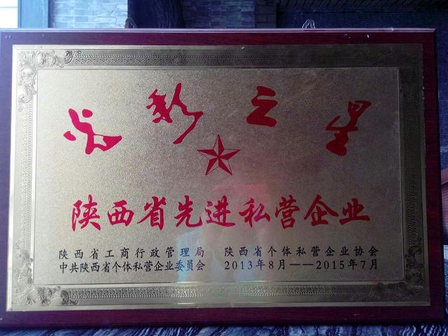 陜西省先進(jìn)私營(yíng)企業(yè)